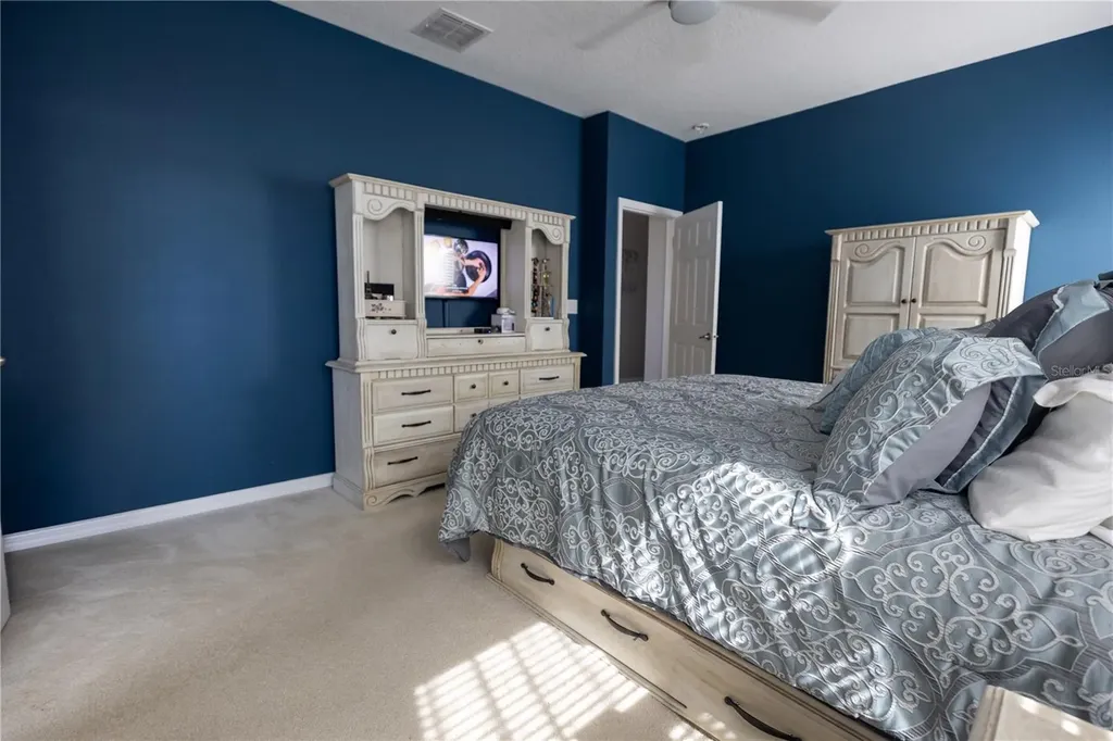 1292 Merion Drive Mount Dora FL 32757