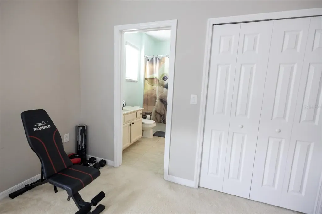 1292 Merion Drive Mount Dora FL 32757
