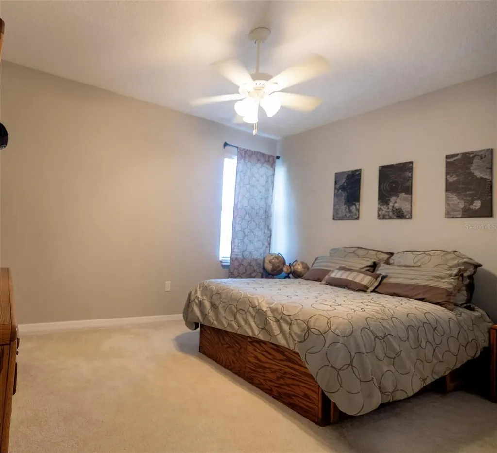 1292 Merion Drive Mount Dora FL 32757