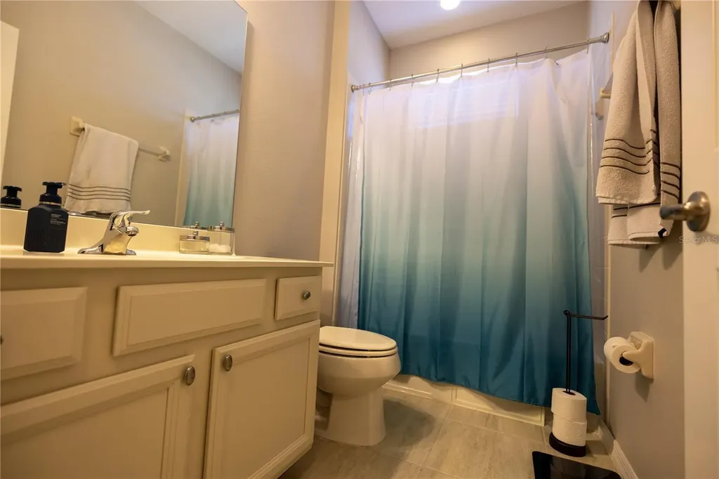 1292 Merion Drive Mount Dora FL 32757