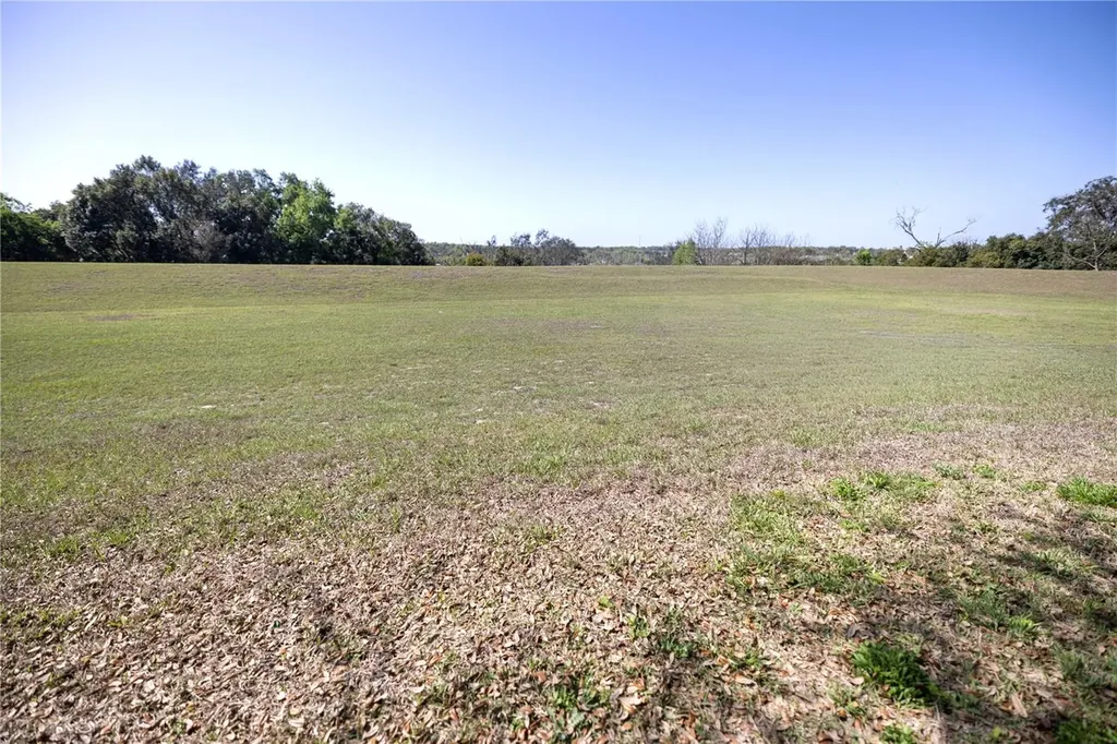 1292 Merion Drive Mount Dora FL 32757