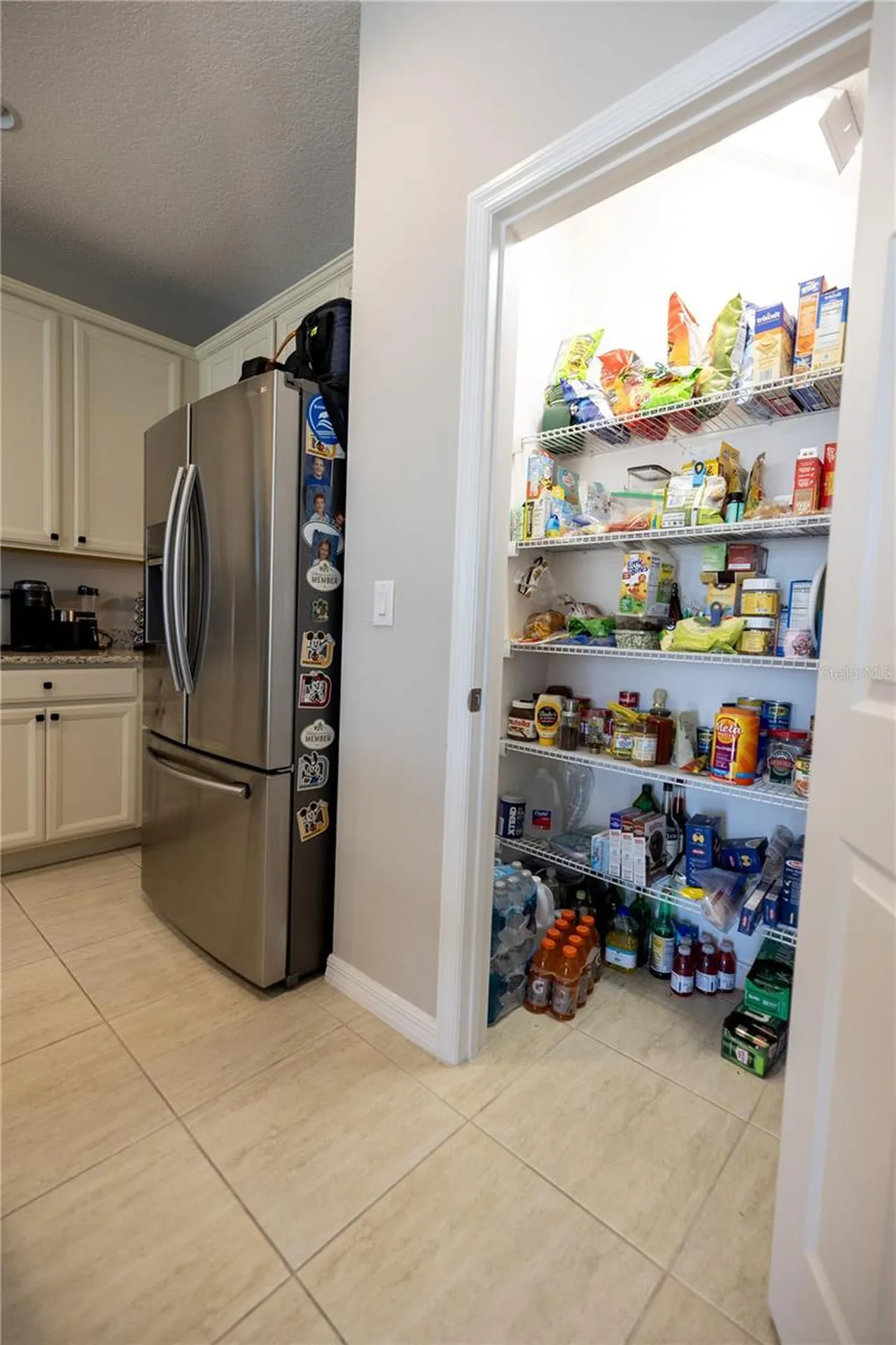 1292 Merion Drive Mount Dora FL 32757