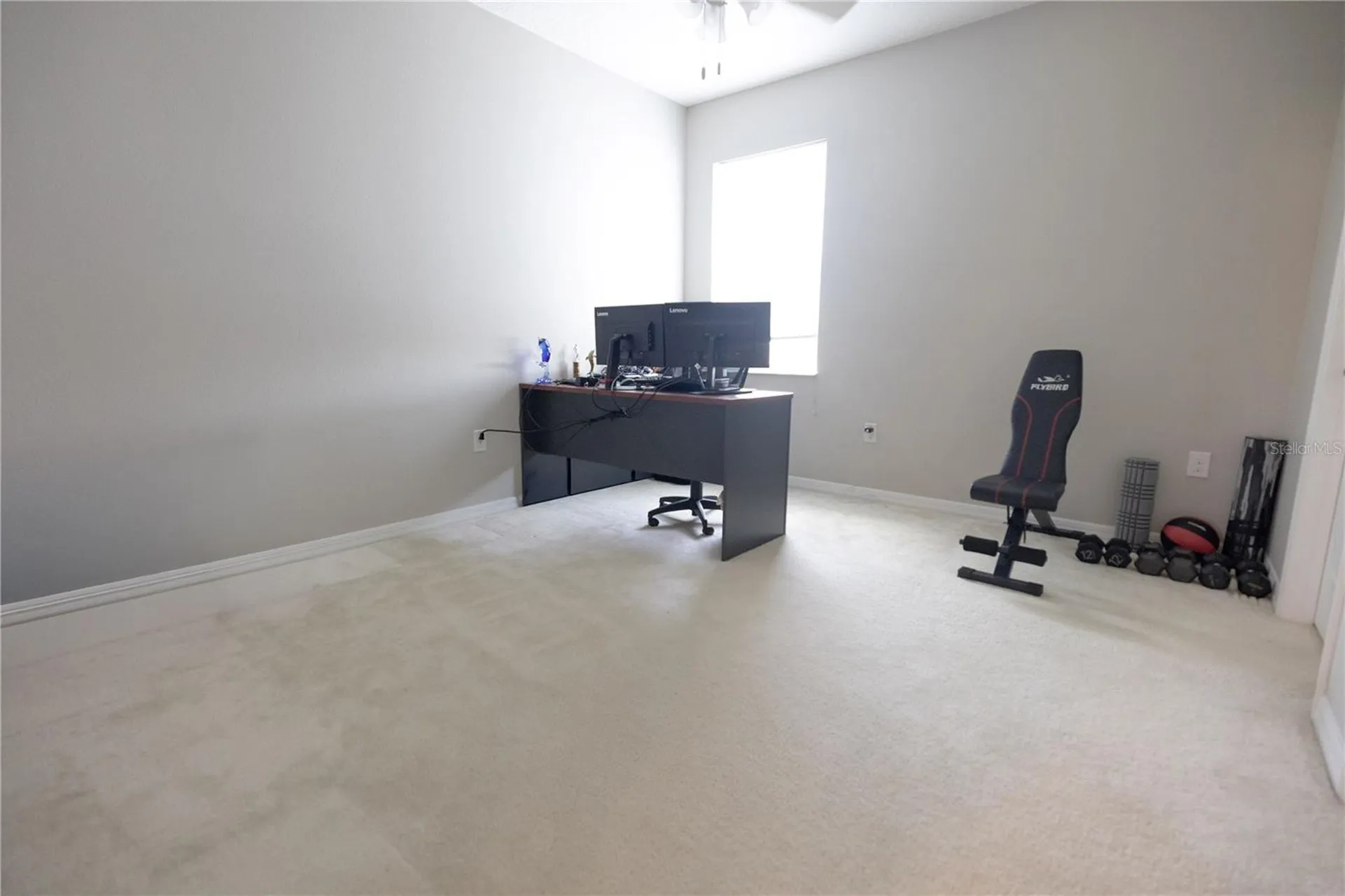 1292 Merion Drive Mount Dora FL 32757