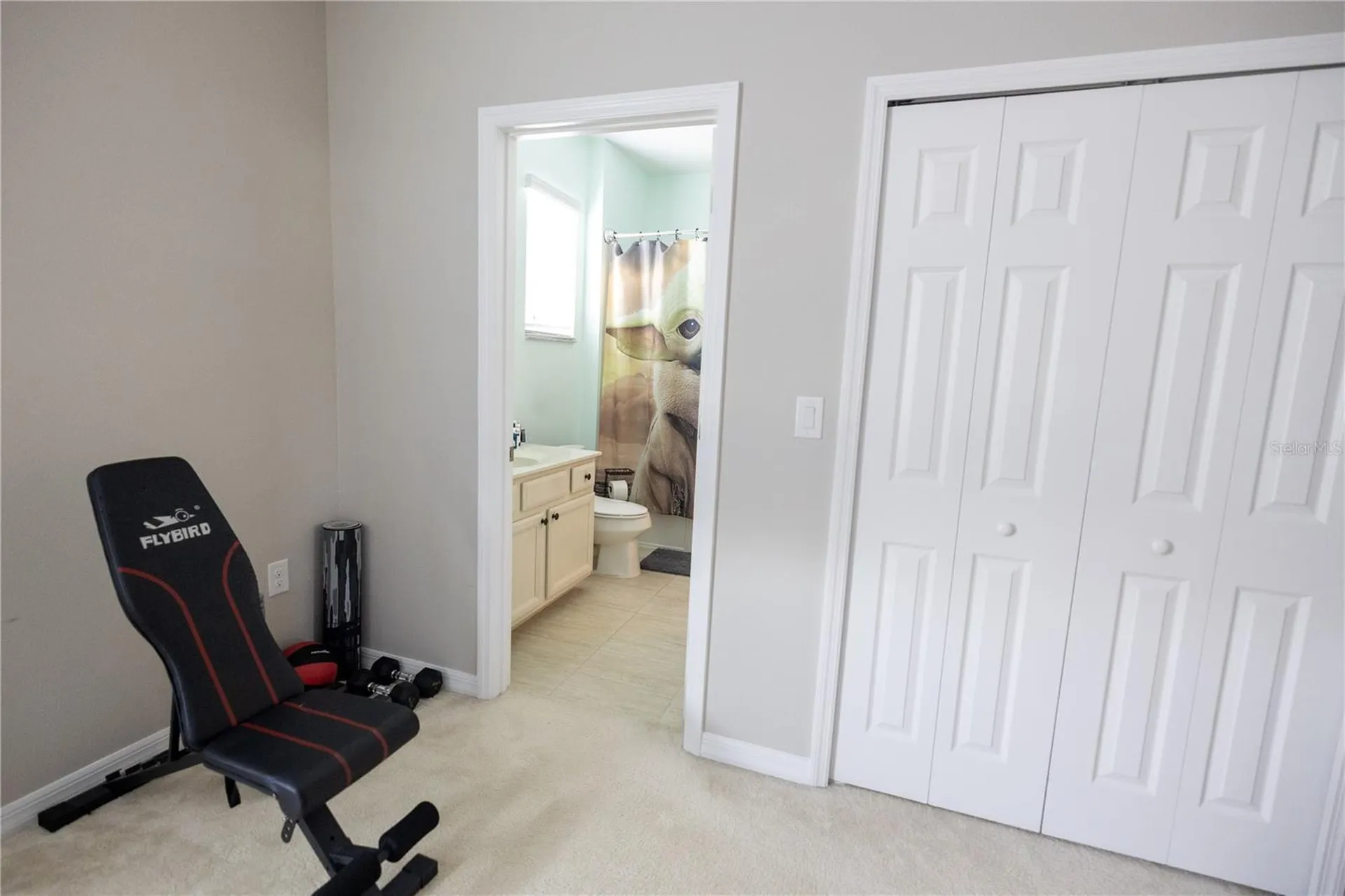 1292 Merion Drive Mount Dora FL 32757