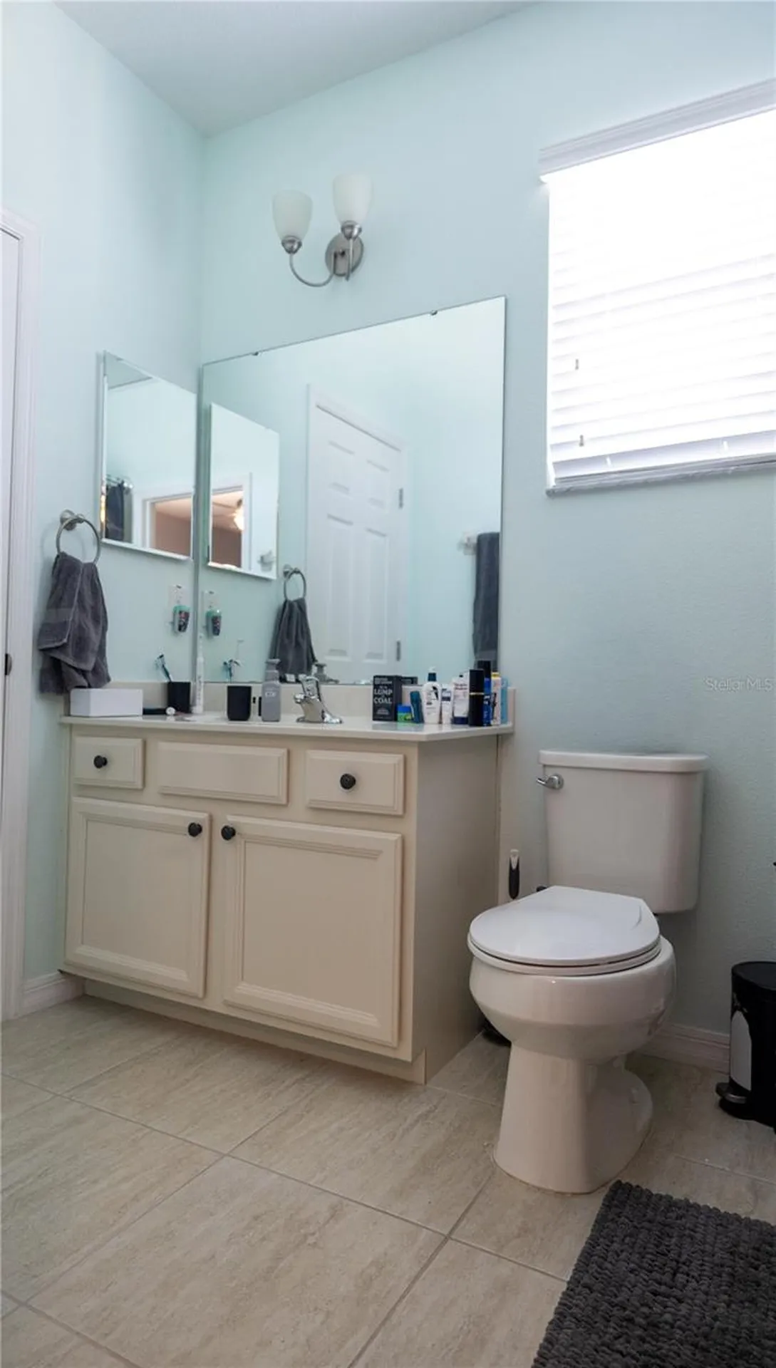 1292 Merion Drive Mount Dora FL 32757