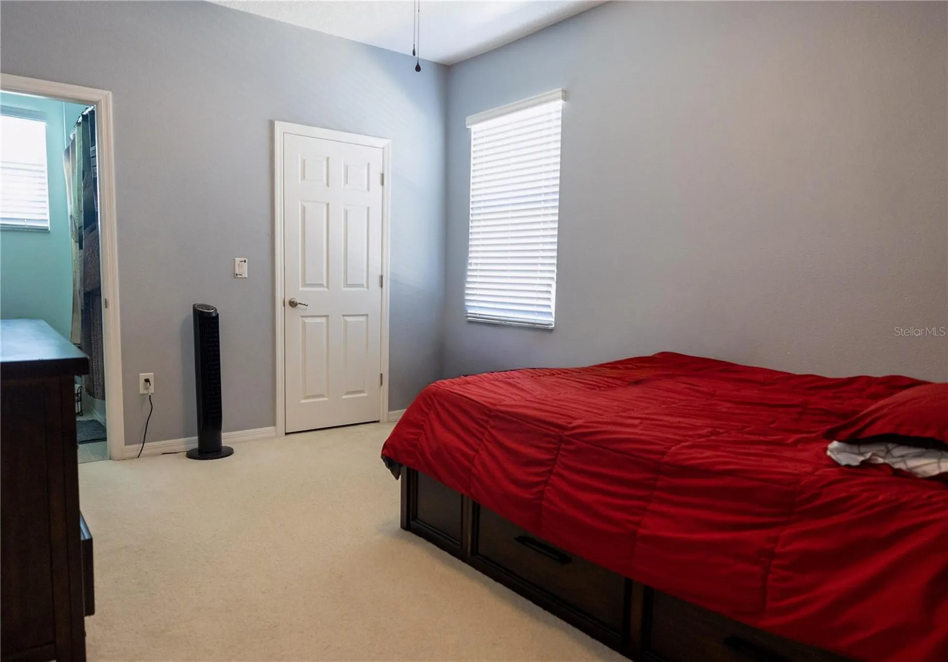 1292 Merion Drive Mount Dora FL 32757