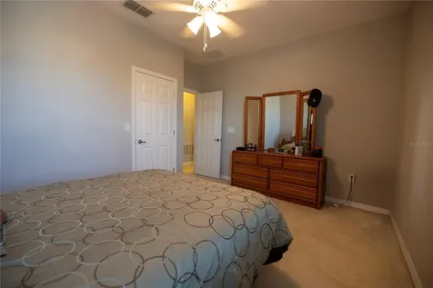 1292 Merion Drive Mount Dora FL 32757