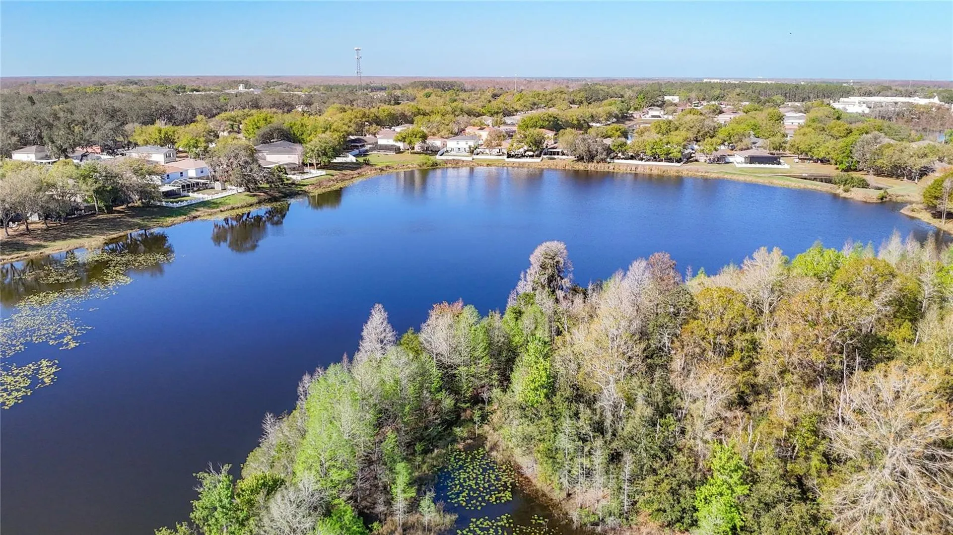 14034 Noble Park Drive Odessa FL 33556