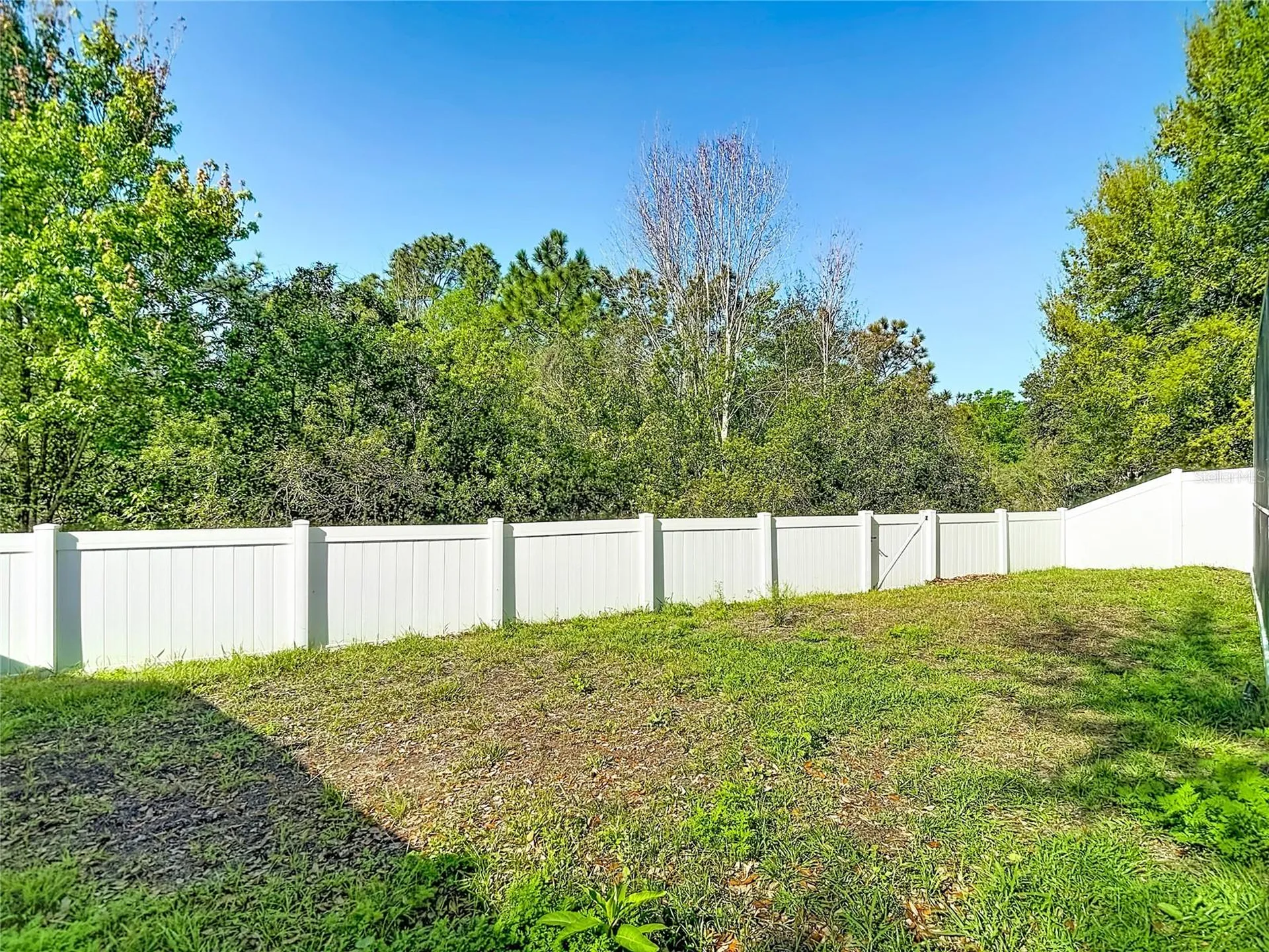 14034 Noble Park Drive Odessa FL 33556