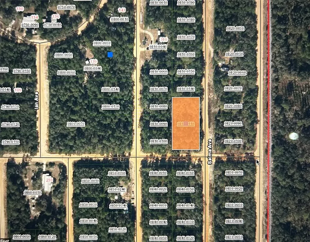 00 Selma Avenue Interlachen FL 32148