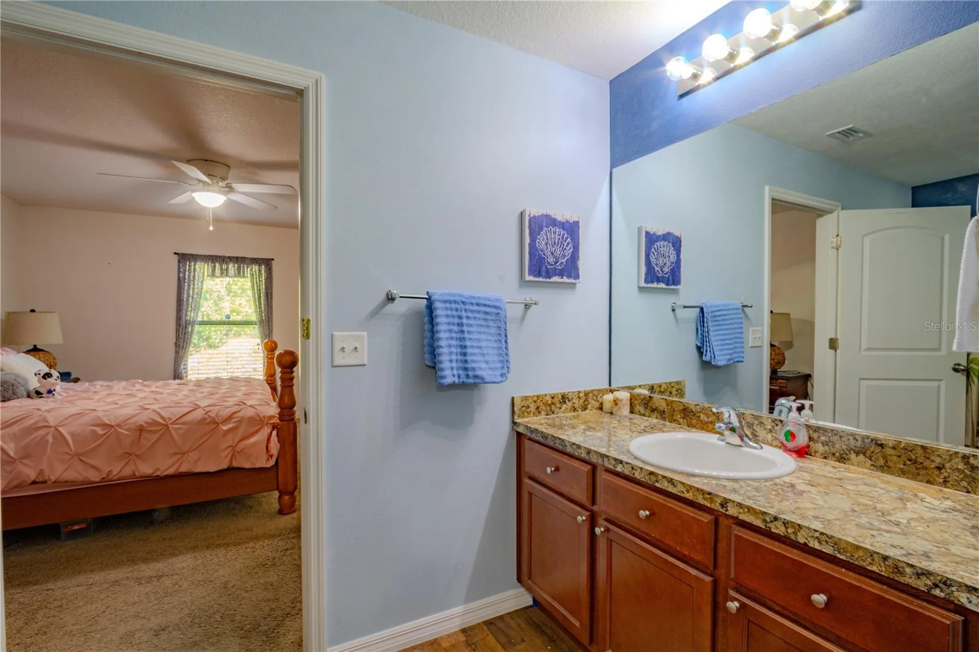 3801 Arborvitae Way Deland FL 32724