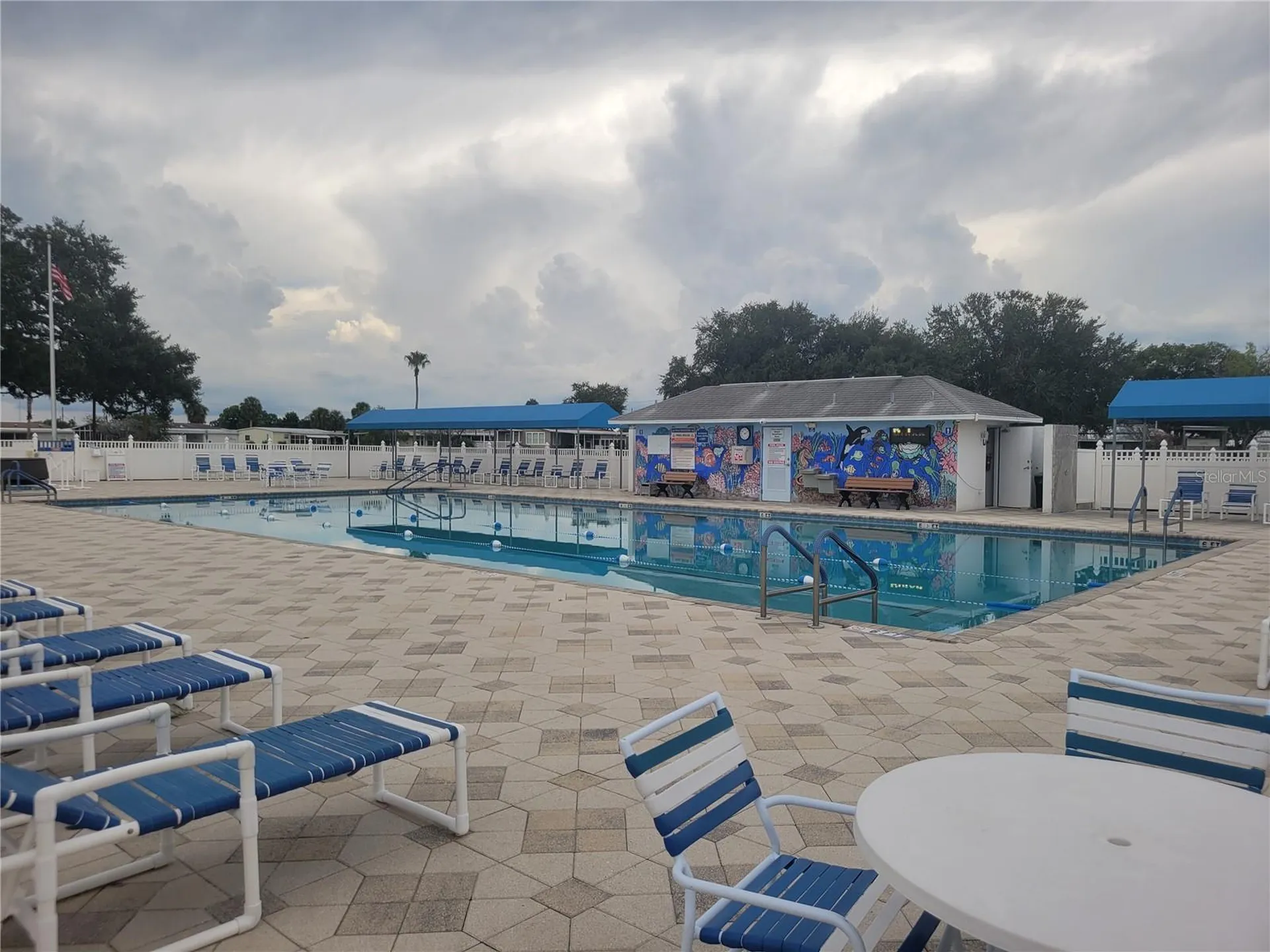 36603 Jodi Avenue Zephyrhills FL 33542