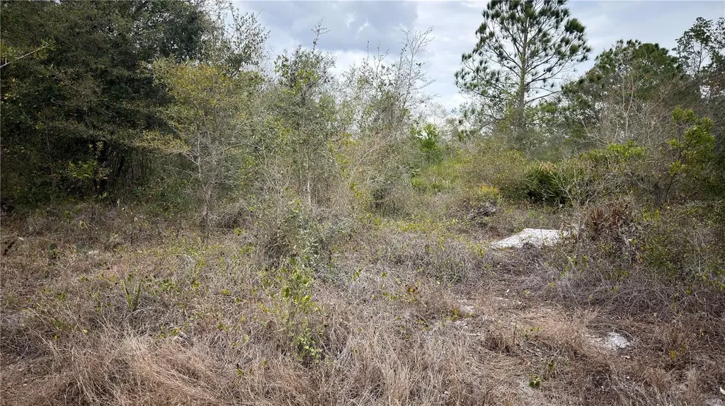 336 Pershing Avenue Lake Placid FL 33852