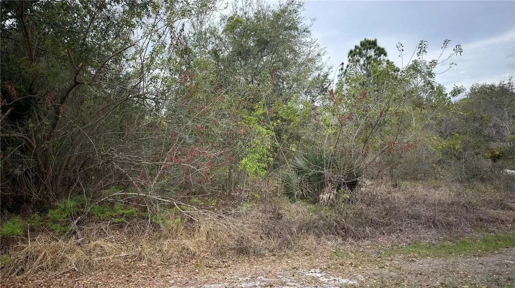 336 Pershing Avenue Lake Placid FL 33852