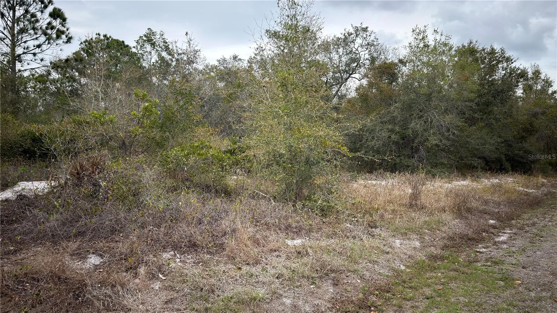 336 Pershing Avenue Lake Placid FL 33852