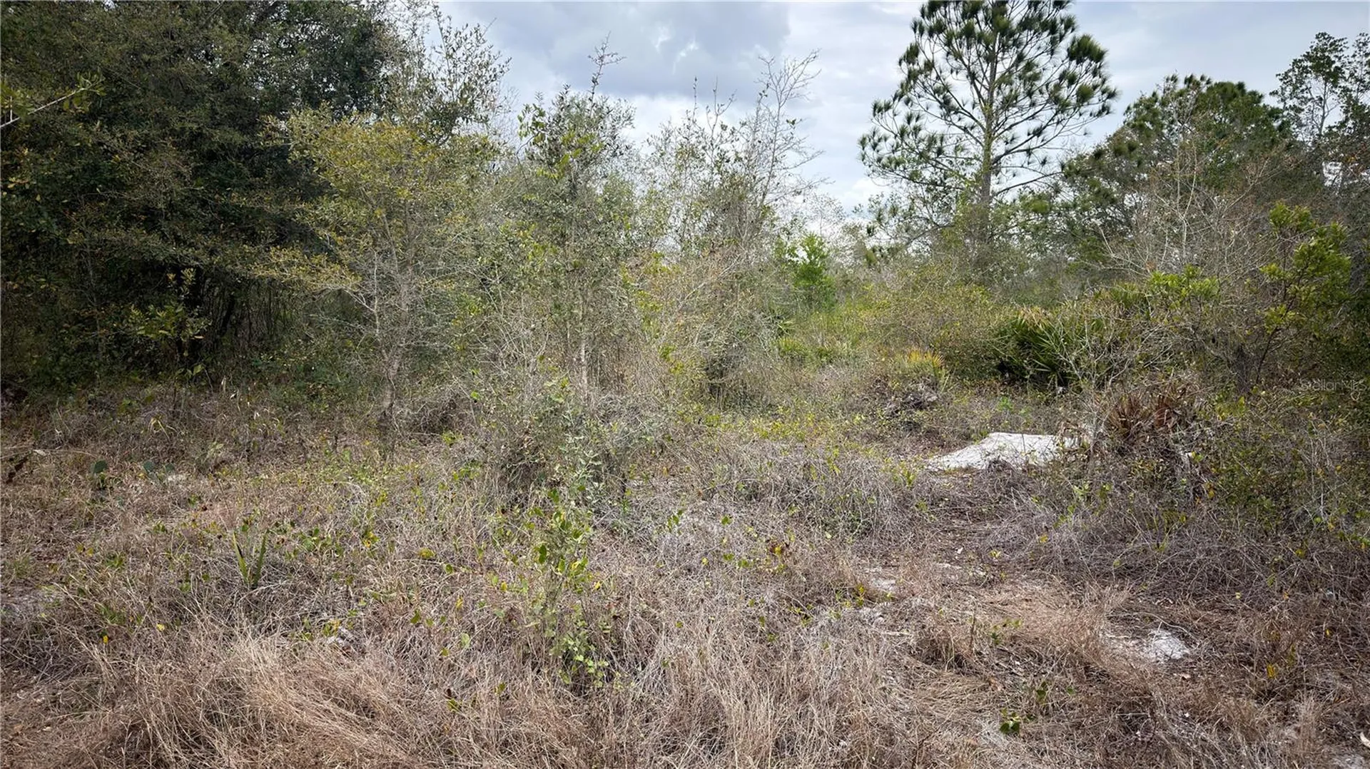 336 Pershing Avenue Lake Placid FL 33852