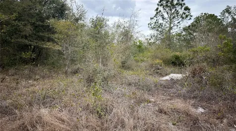 336 Pershing Avenue Lake Placid FL 33852