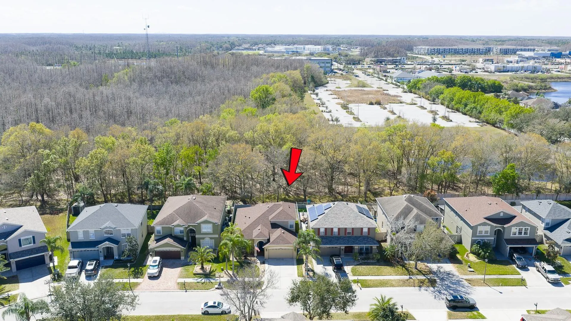 17902 Cunningham Court Land O Lakes FL 34638