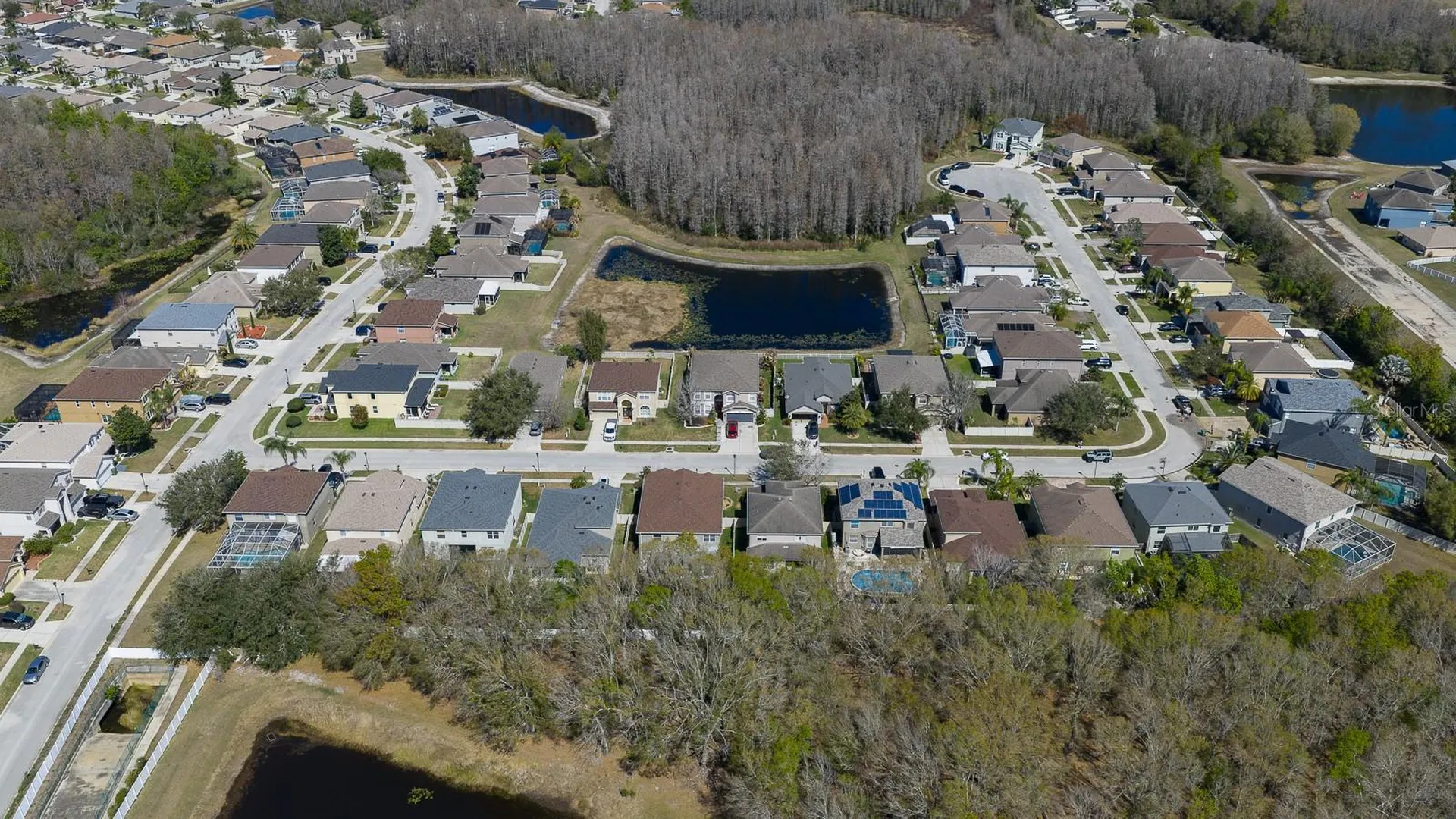 17902 Cunningham Court Land O Lakes FL 34638