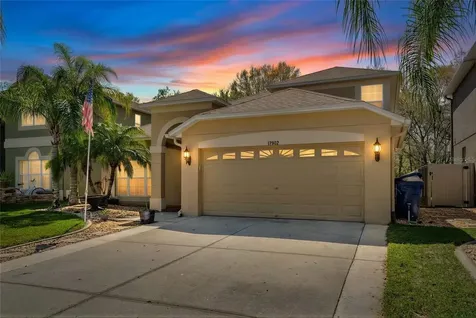 17902 Cunningham Court Land O Lakes FL 34638