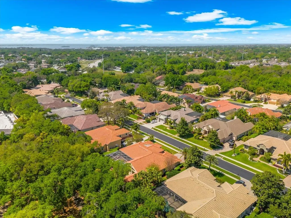 1560 Canopy Oaks Boulevard Palm Harbor FL 34683