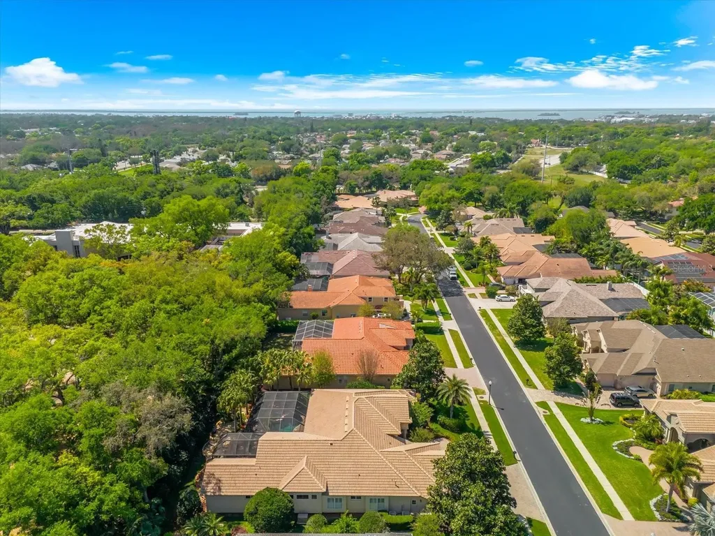 1560 Canopy Oaks Boulevard Palm Harbor FL 34683