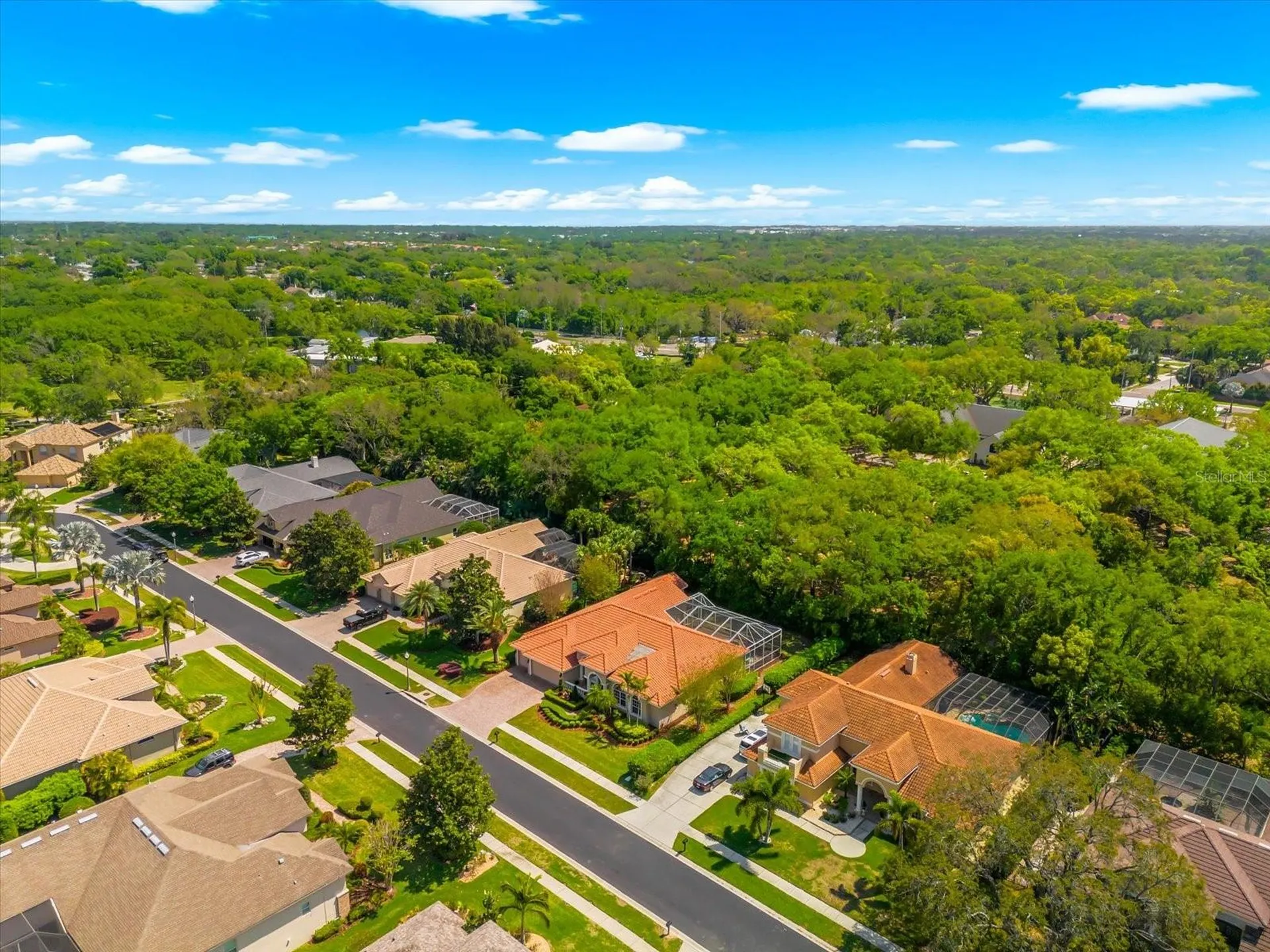 1560 Canopy Oaks Boulevard Palm Harbor FL 34683