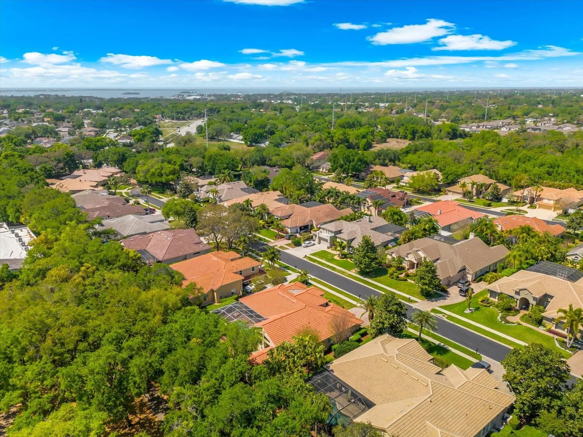 1560 Canopy Oaks Boulevard Palm Harbor FL 34683