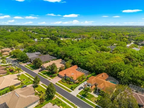 1560 Canopy Oaks Boulevard Palm Harbor FL 34683