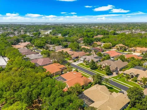 1560 Canopy Oaks Boulevard Palm Harbor FL 34683