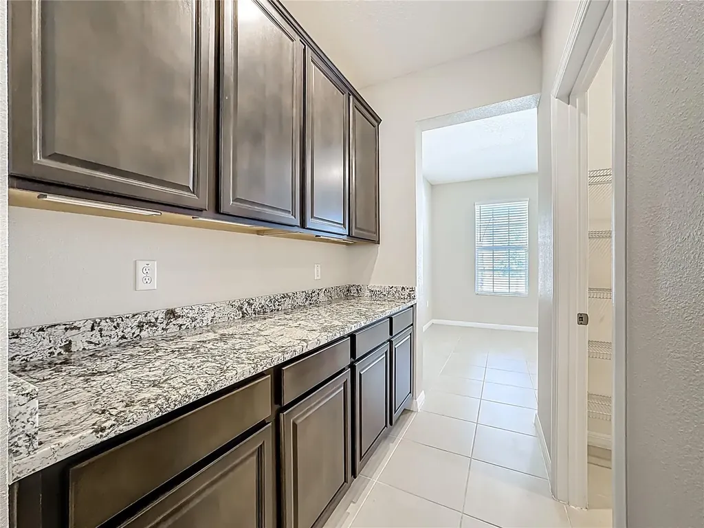 13071 Brookside Moss Drive Riverview FL 33579