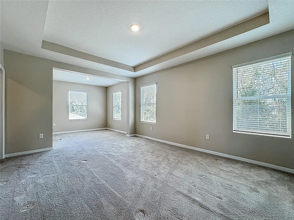 13071 Brookside Moss Drive Riverview FL 33579