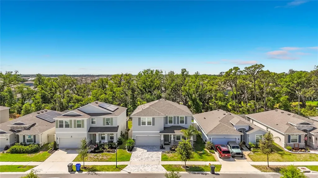 13071 Brookside Moss Drive Riverview FL 33579