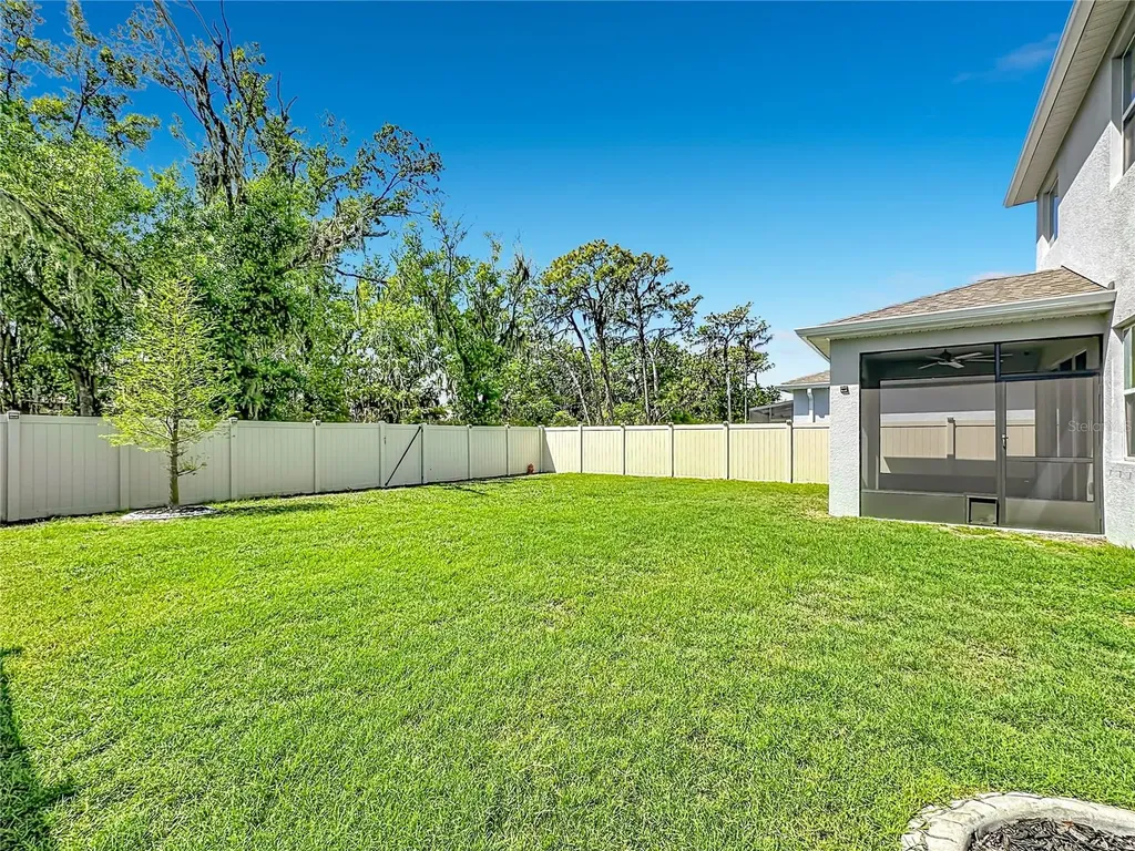 13071 Brookside Moss Drive Riverview FL 33579