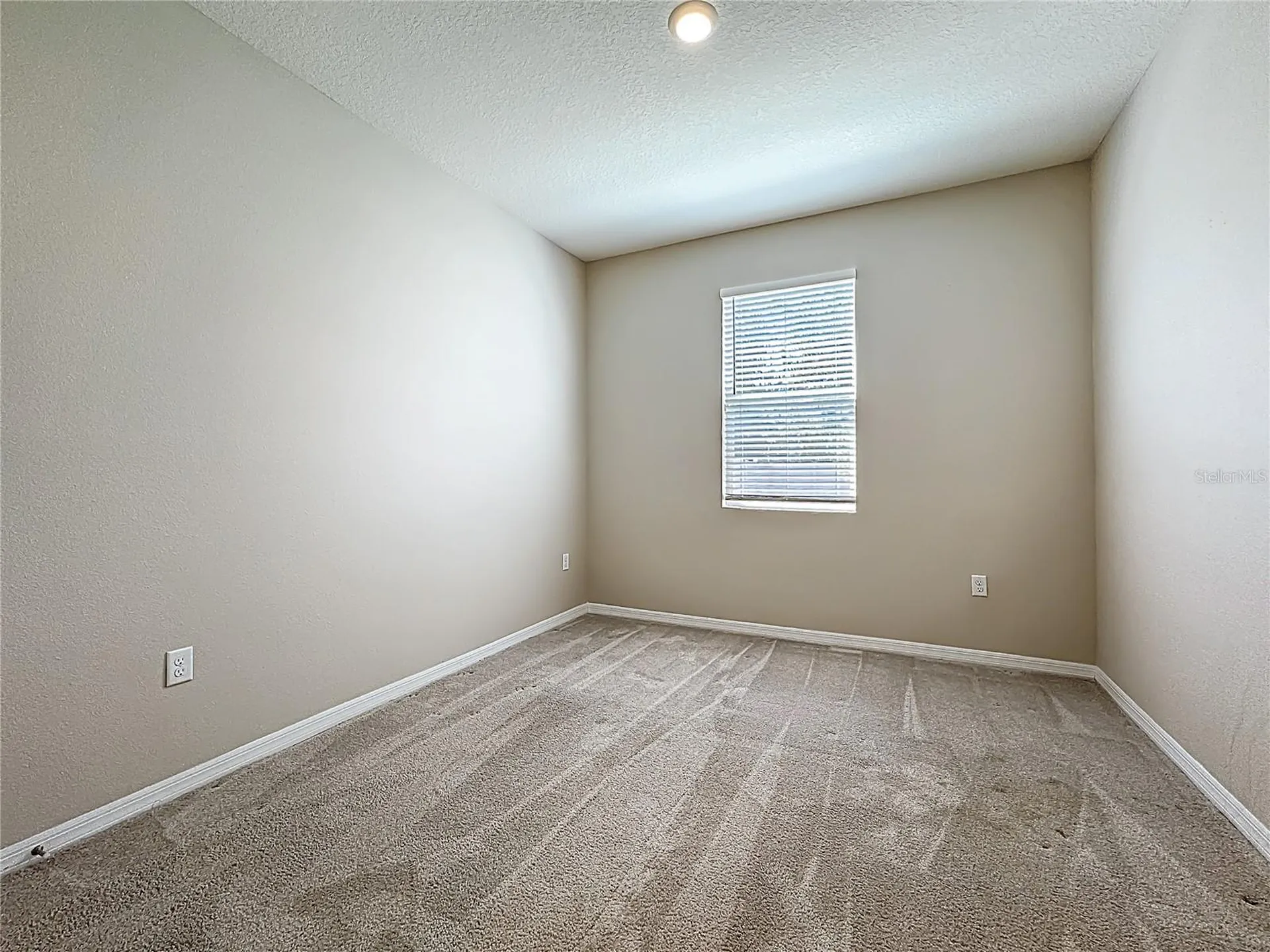 13071 Brookside Moss Drive Riverview FL 33579