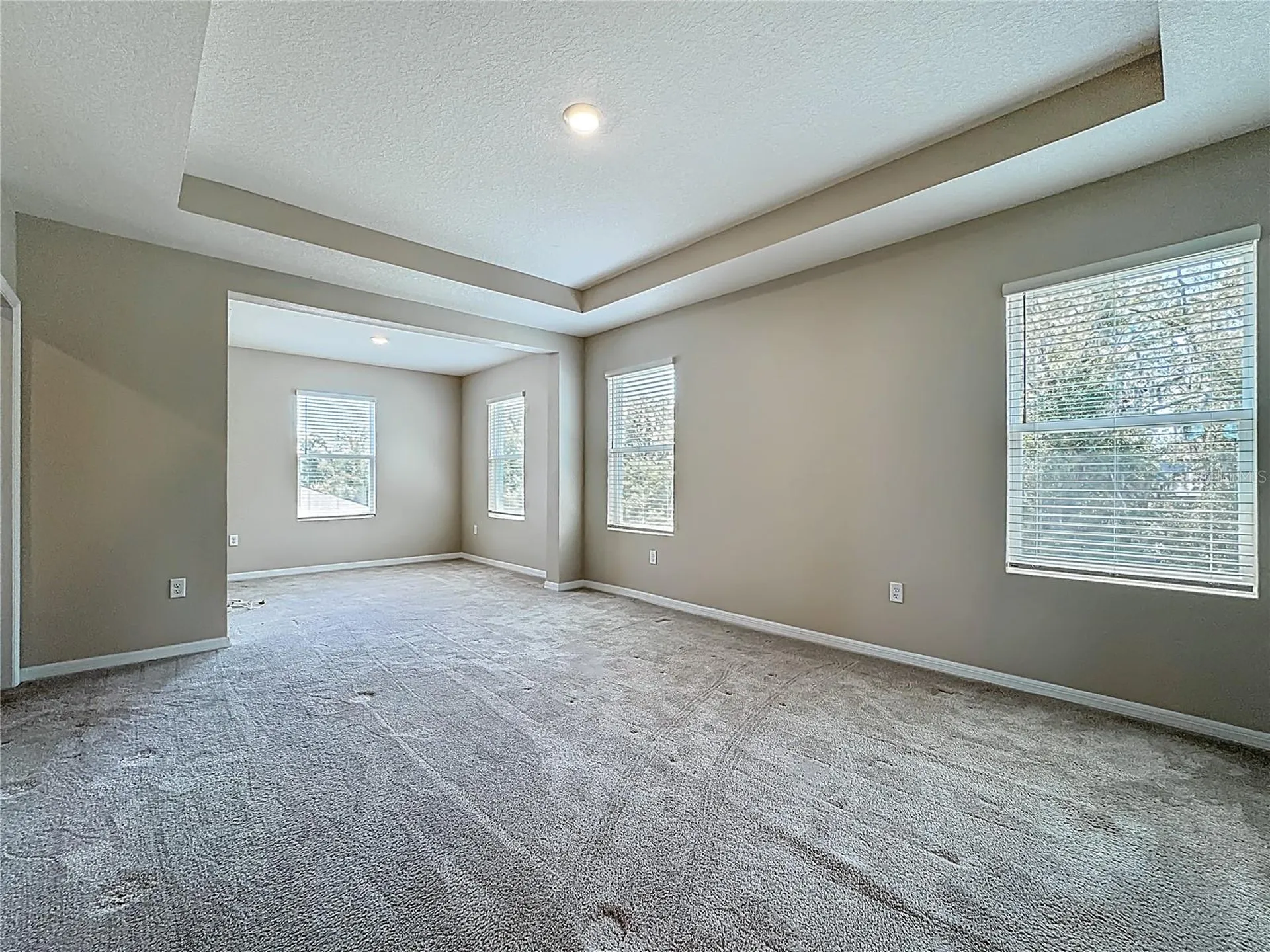 13071 Brookside Moss Drive Riverview FL 33579