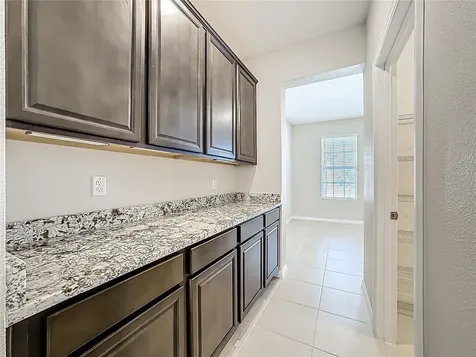13071 Brookside Moss Drive Riverview FL 33579