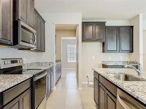 13071 Brookside Moss Drive Riverview FL 33579