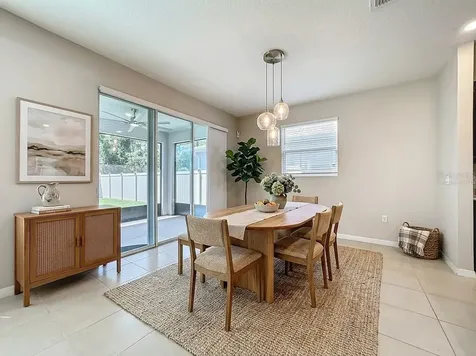 13071 Brookside Moss Drive Riverview FL 33579
