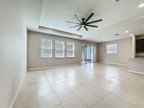 13071 Brookside Moss Drive Riverview FL 33579