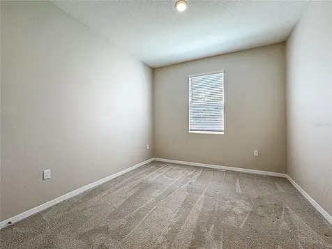 13071 Brookside Moss Drive Riverview FL 33579