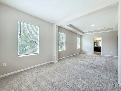 13071 Brookside Moss Drive Riverview FL 33579