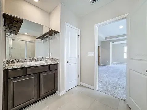 13071 Brookside Moss Drive Riverview FL 33579