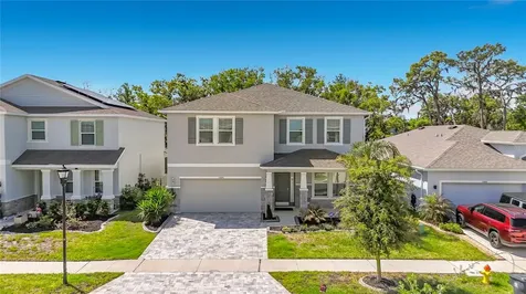 13071 Brookside Moss Drive Riverview FL 33579