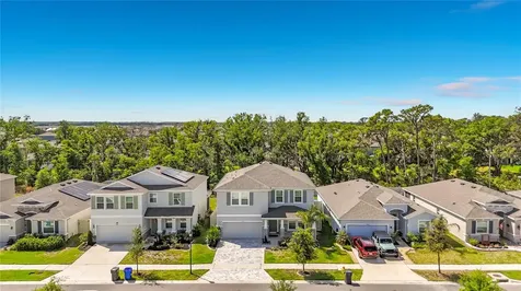 13071 Brookside Moss Drive Riverview FL 33579