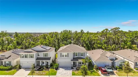 13071 Brookside Moss Drive Riverview FL 33579