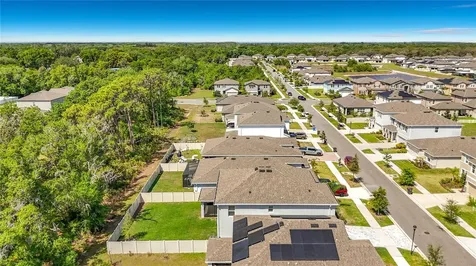 13071 Brookside Moss Drive Riverview FL 33579
