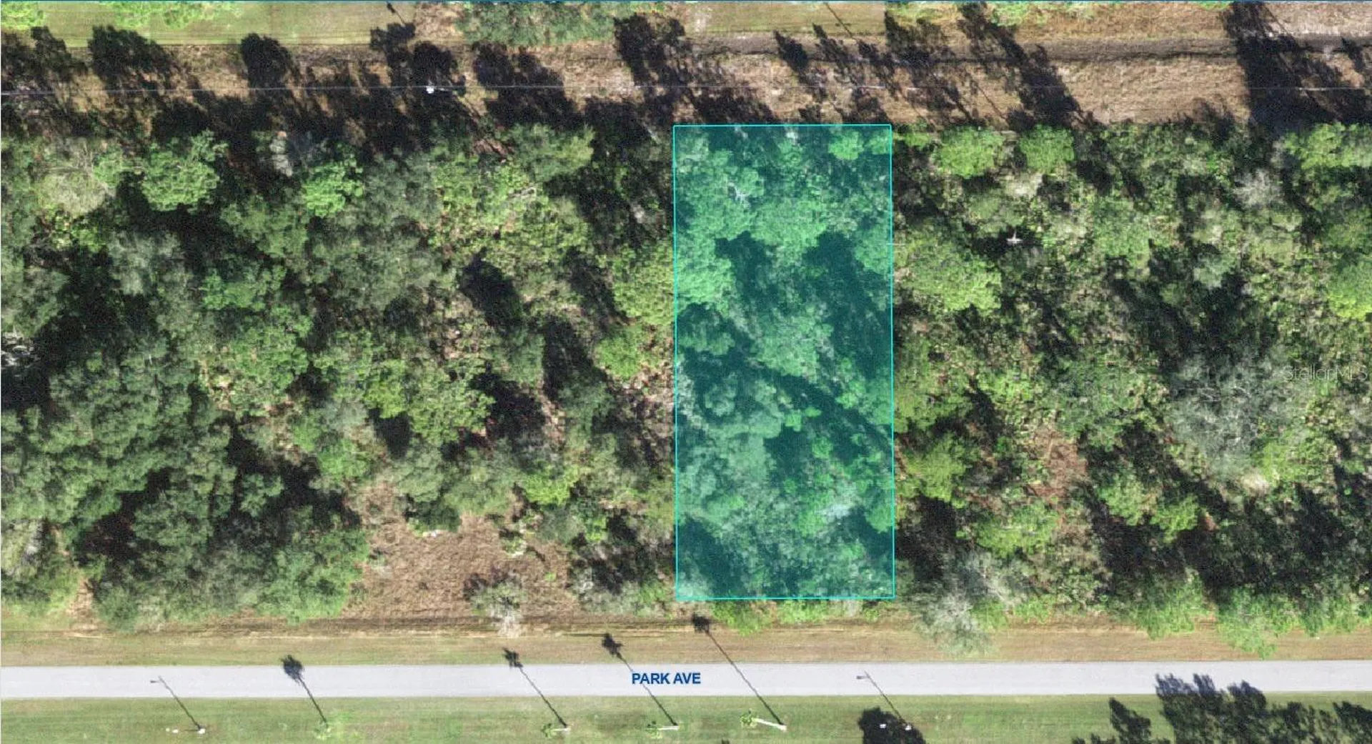 14 Park Avenue Indian Lake Estates FL 33855