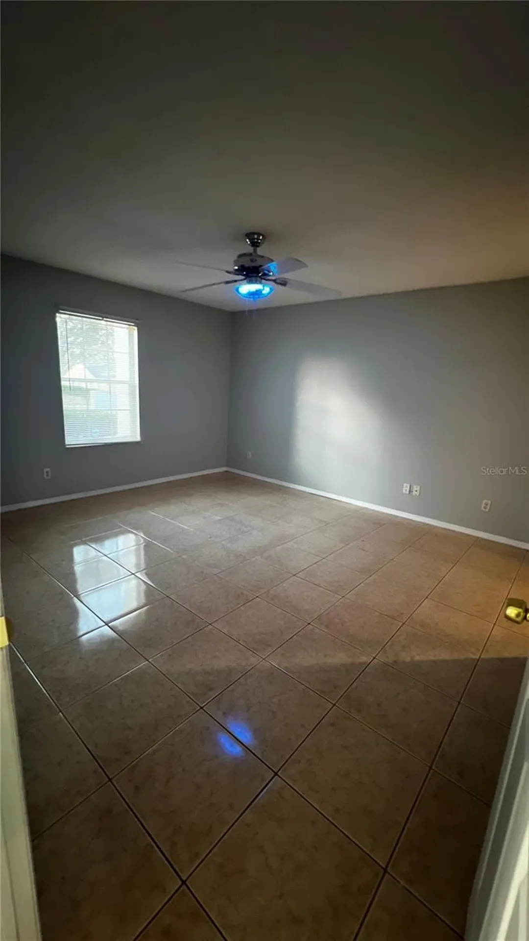 6409 Royal Tern Street Orlando FL 32810