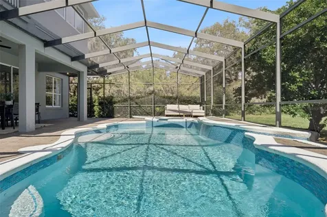 10033 Wittenberg Way Orlando FL 32832